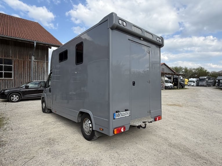 Citroën Jumper, transporteur pour deux chevaux, véhicule d'occasion, avec trois places