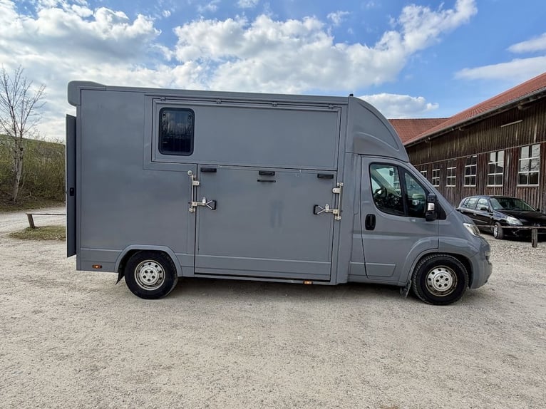 Citroën Jumper, transporteur pour deux chevaux, véhicule d'occasion, avec trois places
