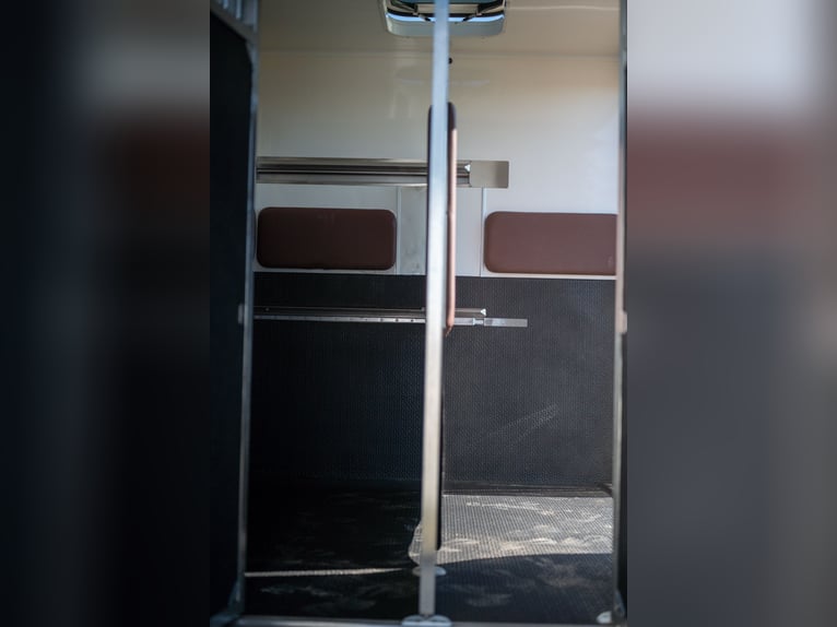 FIAT - DUCATO (2020)