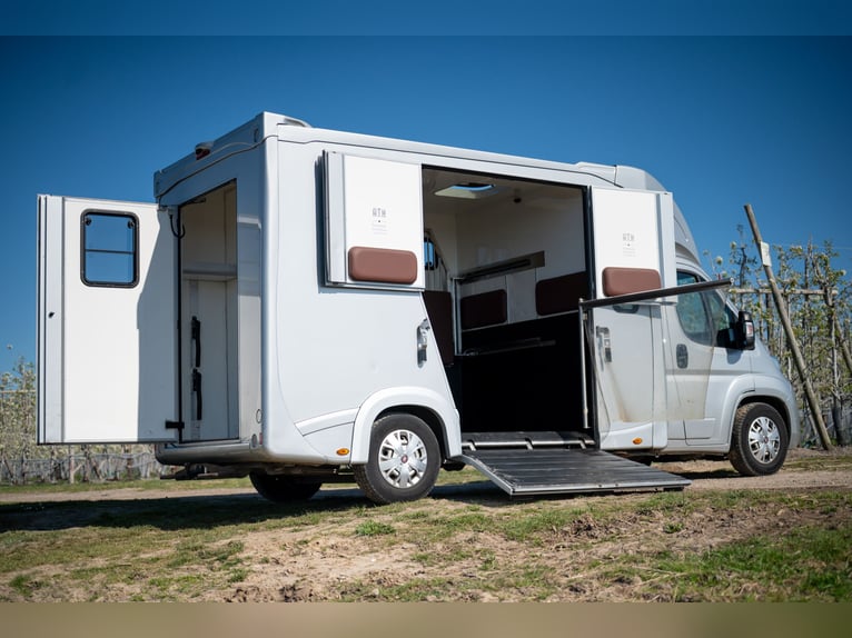 FIAT - DUCATO (2020)