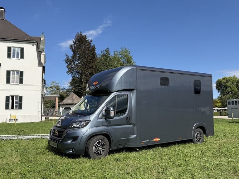 FIAT Ducato Böckmann Compact, transporteur pour 2 chevaux, boîte automatique, 5 places, véhicule d'o