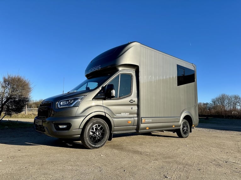 Ford Roelofsen Parados Sport Transporteur pour deux chevaux, édition Deluxe – Boîte automatique – Di