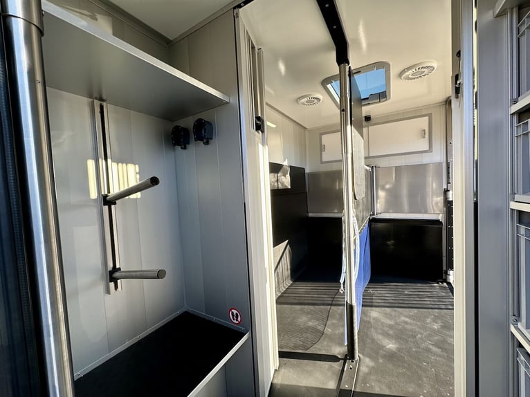 Ford Roelofsen Parados Sport Transporteur pour deux chevaux, édition Deluxe – Boîte automatique – Di