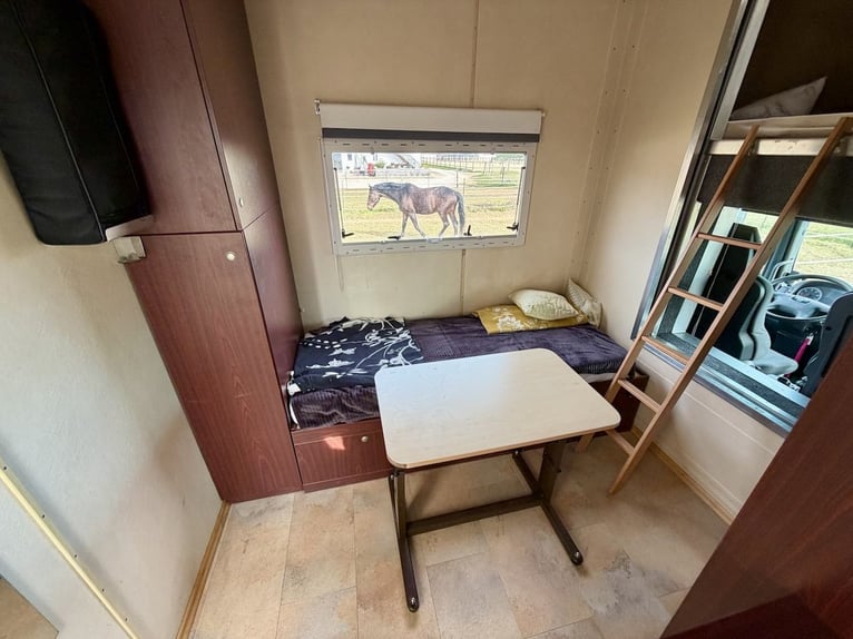 MAN 8.180 Transporteur équestre Steinsberger, capacité 4 chevaux, cabine de vie, douche, camion