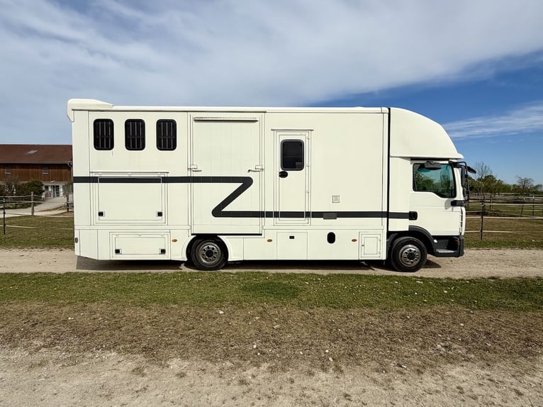 MAN 8.180 Transporteur équestre Steinsberger, capacité 4 chevaux, cabine de vie, douche, camion