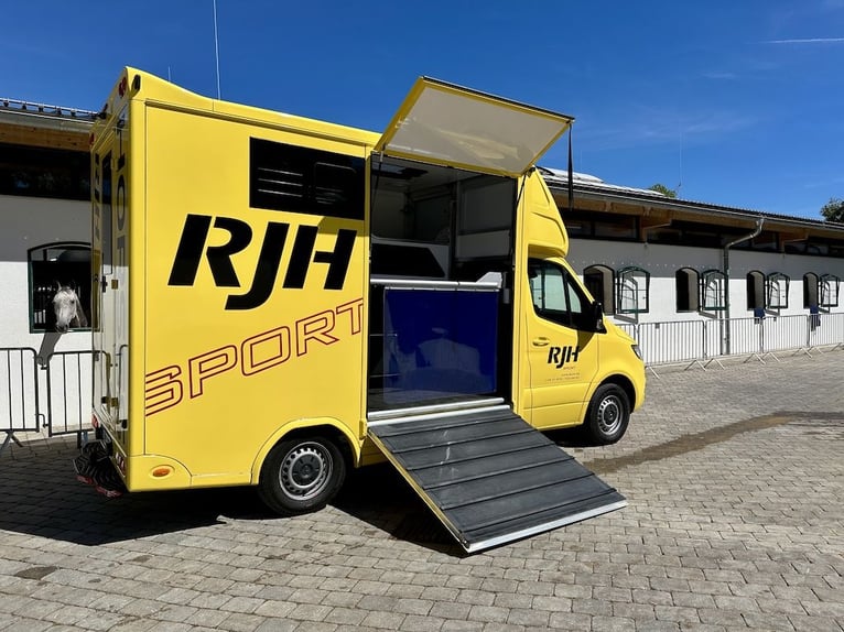 Mercedes-Benz Sprinter 419 CDI RJH Sport, véhicule de transport pour 2 chevaux, camion - en excellen