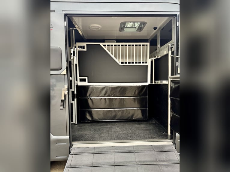 Nouveau modèle Renault EQUITA, transporteur pour 2 chevaux, camion 3 places, boîte automatique