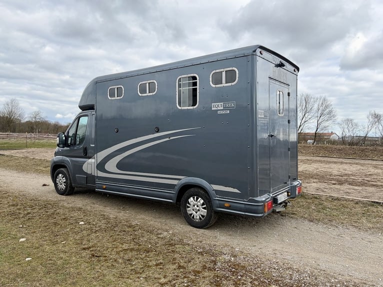 Peugeot Boxer Equitrek Sonic transporteur pour 2 chevaux - Véhicule utilitaire d'occasion en mandat 