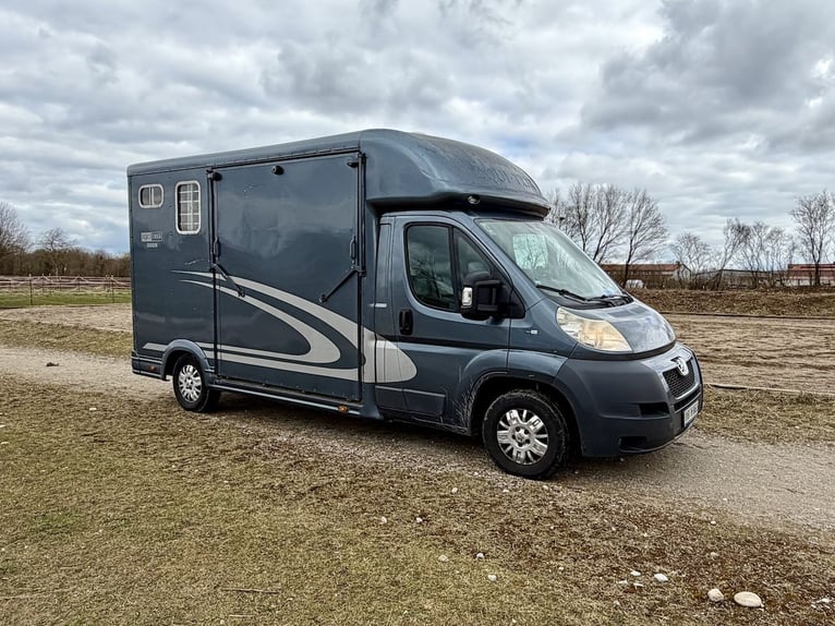 Peugeot Boxer Equitrek Sonic transporteur pour 2 chevaux - Véhicule utilitaire d'occasion en mandat 