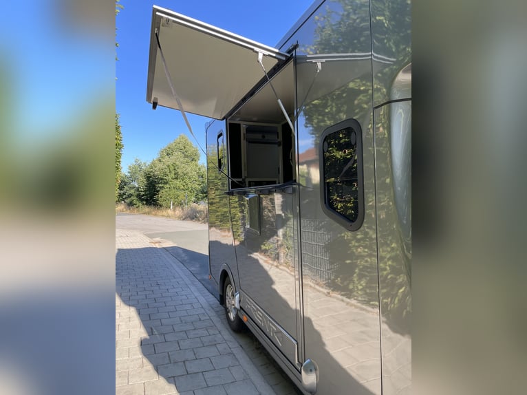 Renault Master Horse Transporter 5 Seats, 3 Beds.