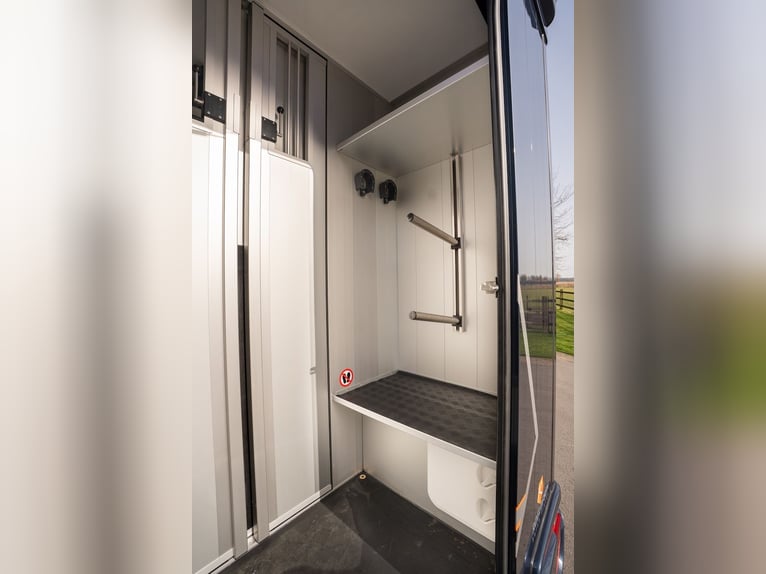 Renault Roelofsen Parados Transporteur pour deux chevaux, modèle automatique, nouvelle version 2026