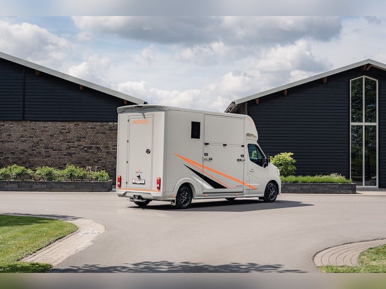 Renault Roelofsen Yorse Édition Spéciale - Transporteur pour 2 chevaux Véhicule d'occasion Boîte de 