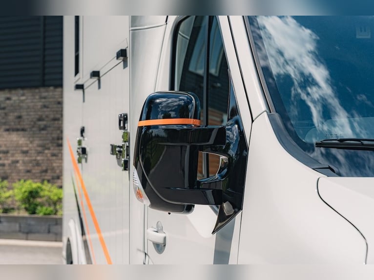Renault Roelofsen Yorse Édition Spéciale - Transporteur pour 2 chevaux Véhicule d'occasion Boîte de 