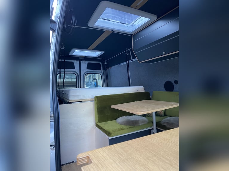 Sprinter WoMo 319 with tow bar L3H2 V6 (+ optional horse / carriage trailer)