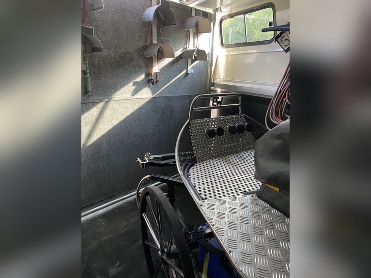 Sprinter WoMo 319 with tow bar L3H2 V6 (+ optional horse / carriage trailer)