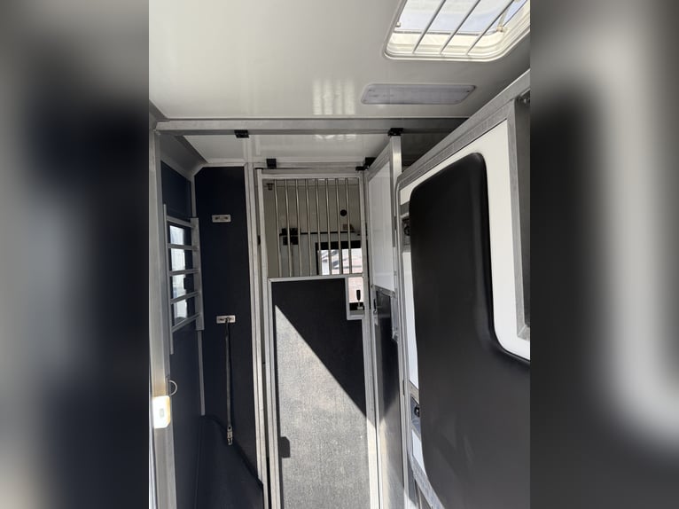 STX Camion pour chevaux Renault Master automatique 180 ch