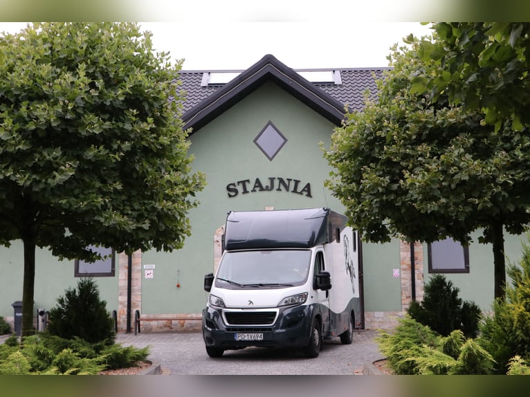 Transport de chevaux / Transport équestre / Transports de chevaux