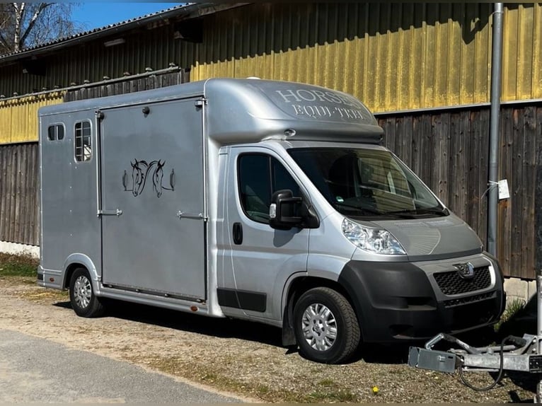 Transporteur de chevaux 3,5 t Peugeot Boxer, seulement 116 200 km au compteur