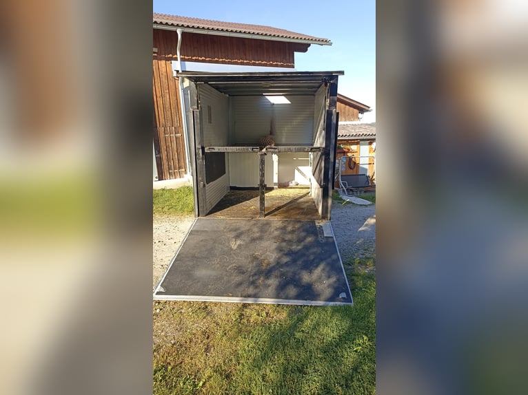 Transporteur de chevaux avec espace de vie
