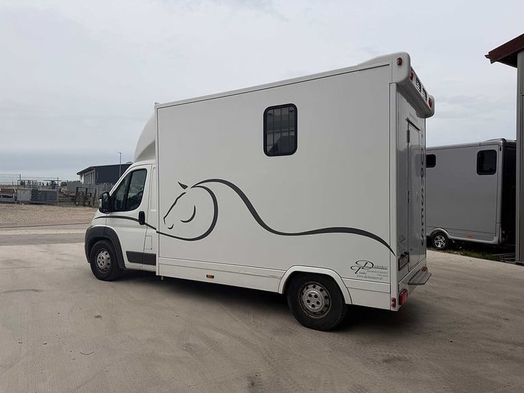 Transporteur de chevaux Citroën, seulement 29 200 km, véhicule de transport de bétail, van pour anim