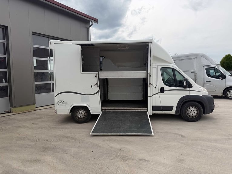 Transporteur de chevaux Citroën, seulement 29 200 km, véhicule de transport de bétail, van pour anim
