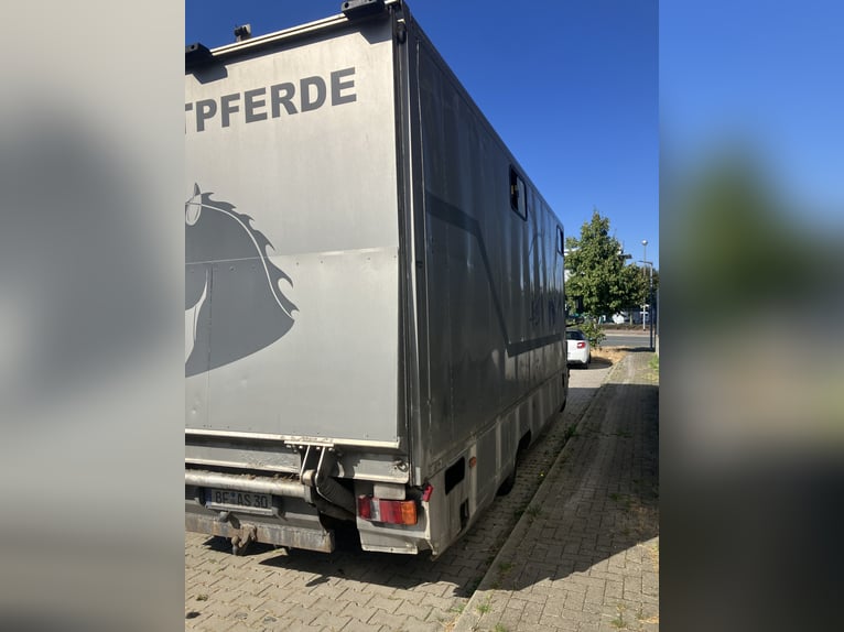 Transporteur de chevaux Mercedes 817 L