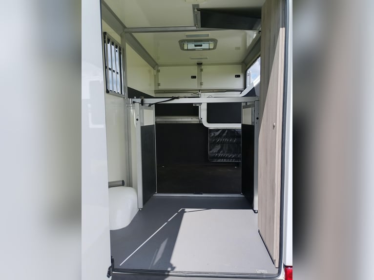Transporteur de chevaux Renault Master Automatique, seulement 35 300 km, 170 ch, transporteur de bét
