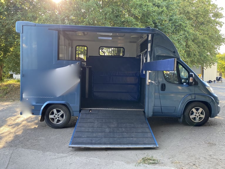 Transporteur pour chevaux