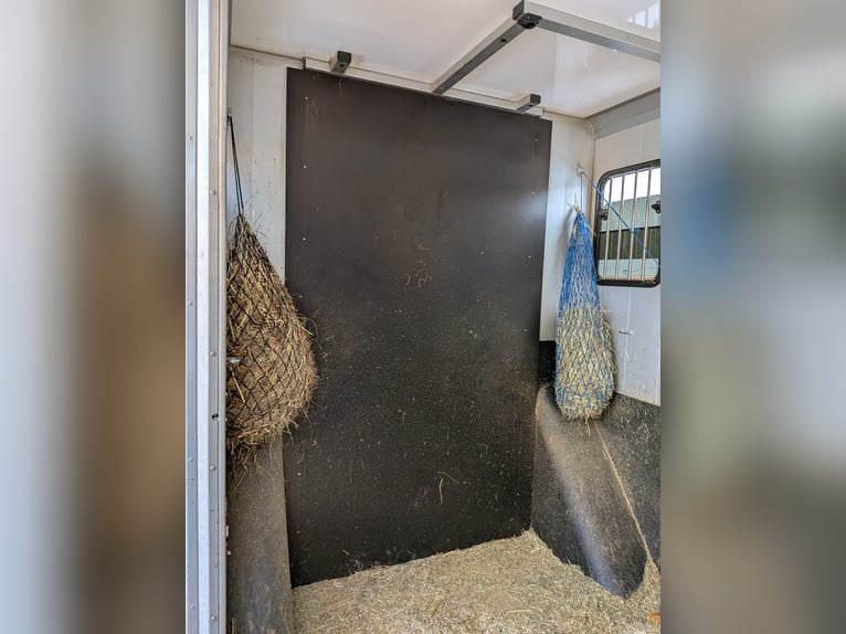 Transporteur pour chevaux ; Camion pour le transport équestre ; Capacité 5 places ; Compact L Plus