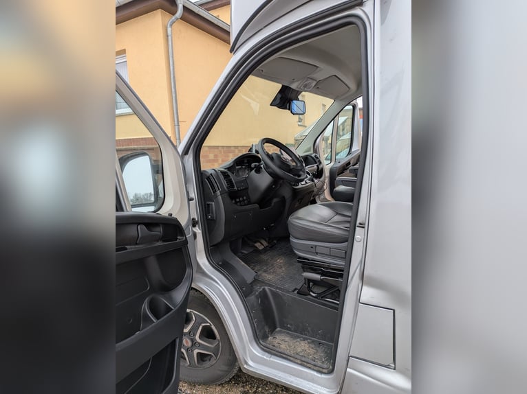 Transporteur pour chevaux ; Camion pour le transport équestre ; Capacité 5 places ; Compact L Plus