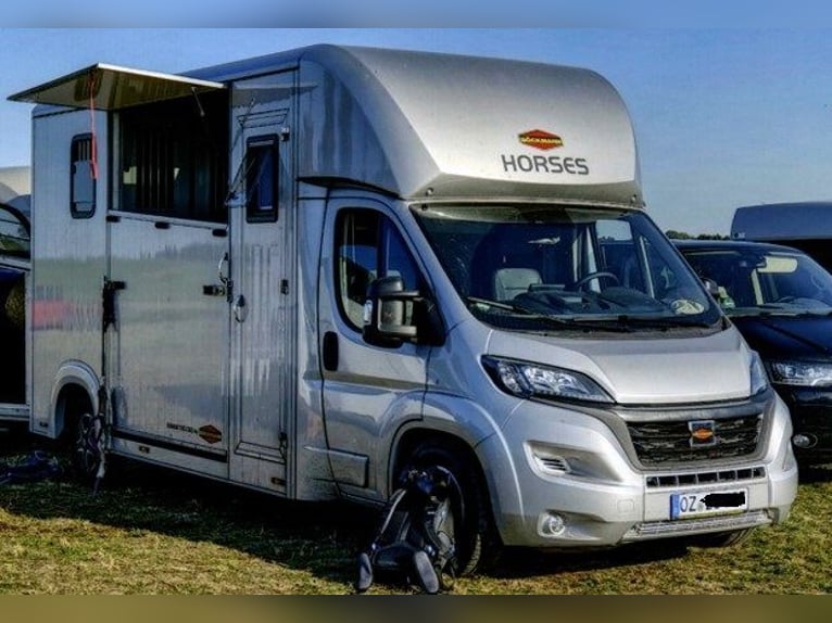 Transporteur pour chevaux ; Camion pour le transport équestre ; Capacité 5 places ; Compact L Plus