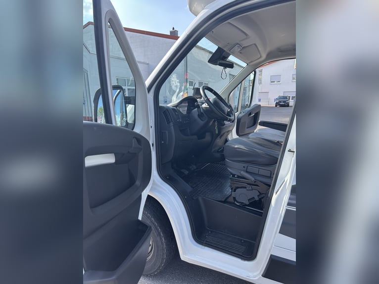 Transporteur pour chevaux de 3,5 tonnes
