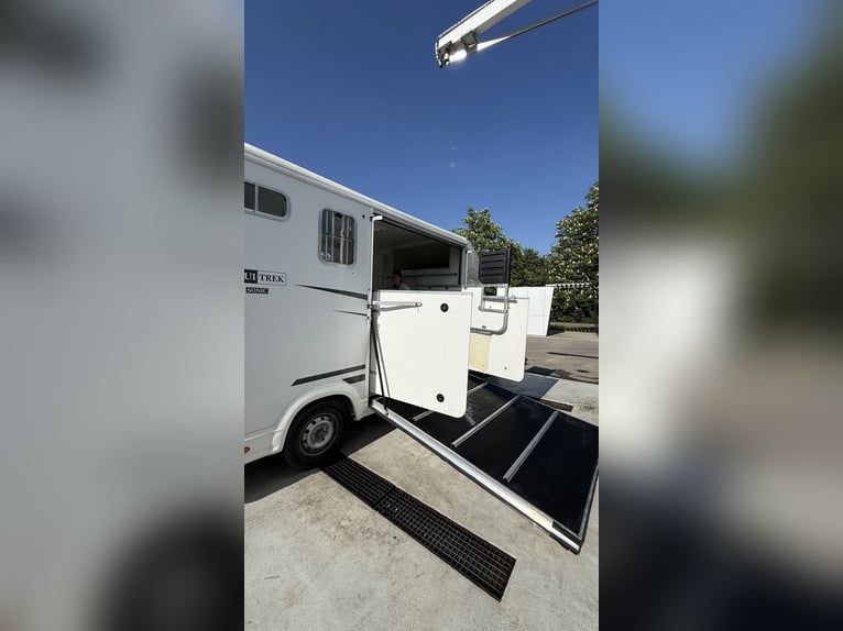 Transporteur pour chevaux de 3,5 tonnes