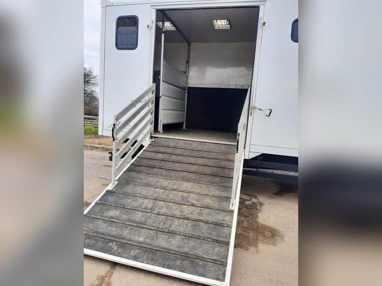 Transporteur pour chevaux IVECO de haute qualité, modèle Dickenherr, poids total autorisé en charge