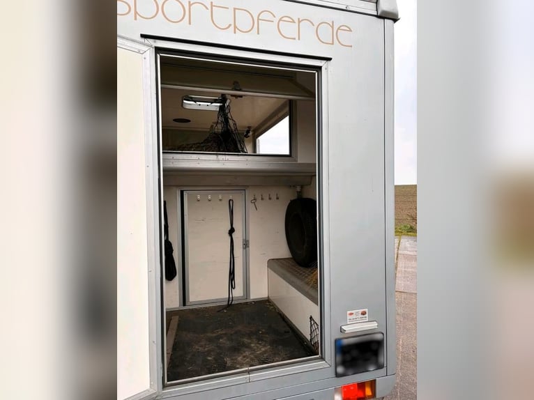 Transporteur pour chevaux Renault Master d'occasion