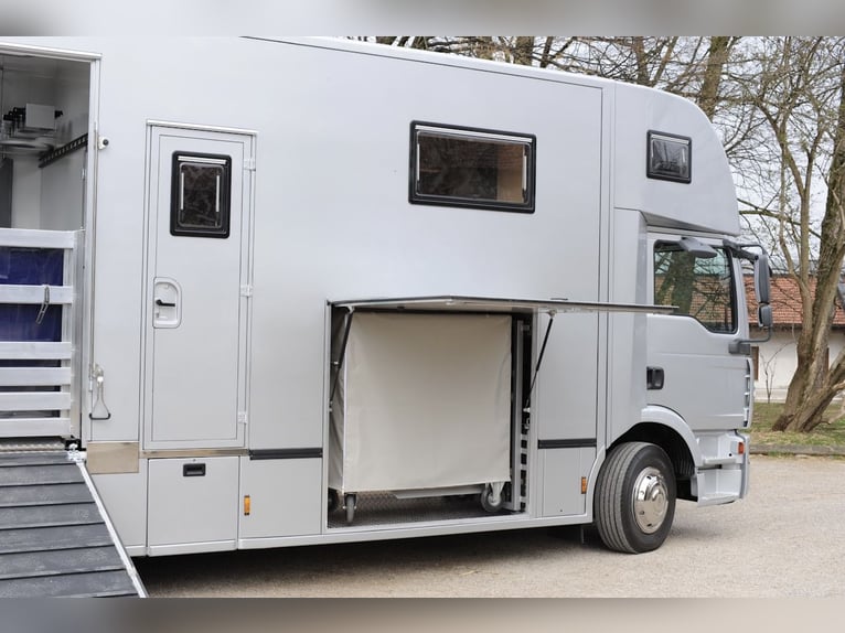 Camion MAN 15.280 Gimmel 5 — Transporteur pour chevaux avec logement, toilettes et douche