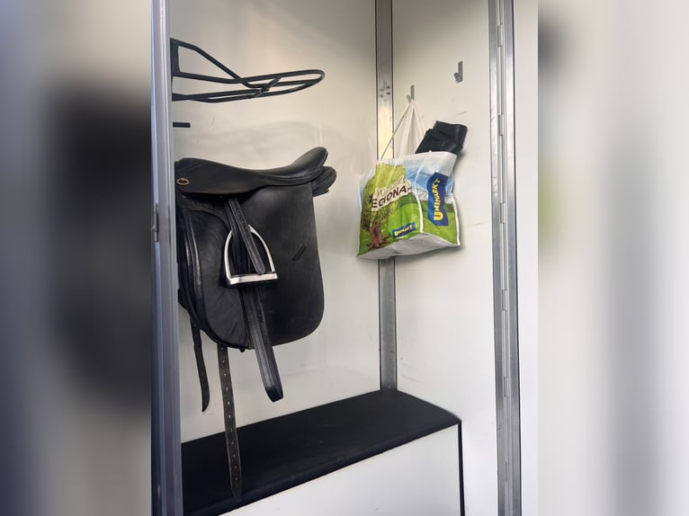 Camionnette Renault Master confortable