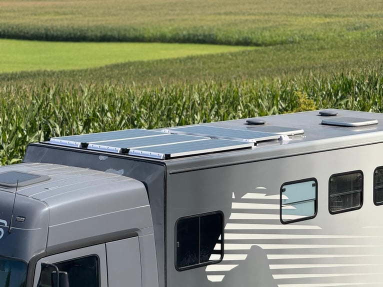 Mercedes-Benz Actros 1831 pour 2 à 3 chevaux ou transformation en camping-car