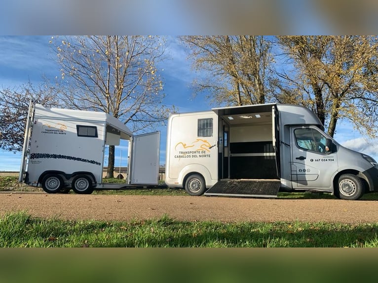 Transporte de Caballos en España