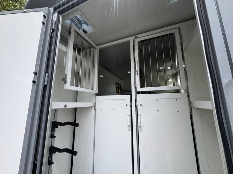 Transporteur de chevaux, 5 places assises, 3 couchettes, Renault Master automatique, conducteur seul