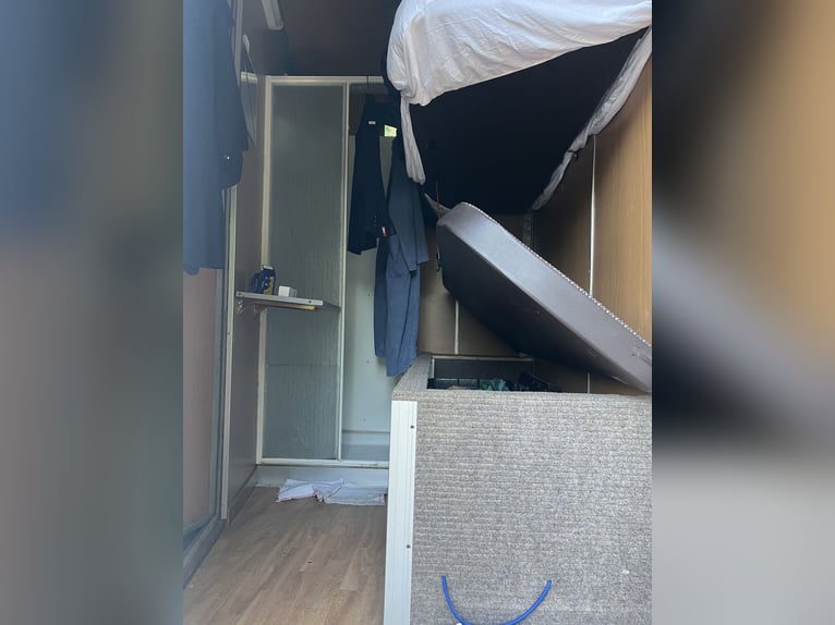Transporteur pour 8 chevaux avec petit espace de vie
