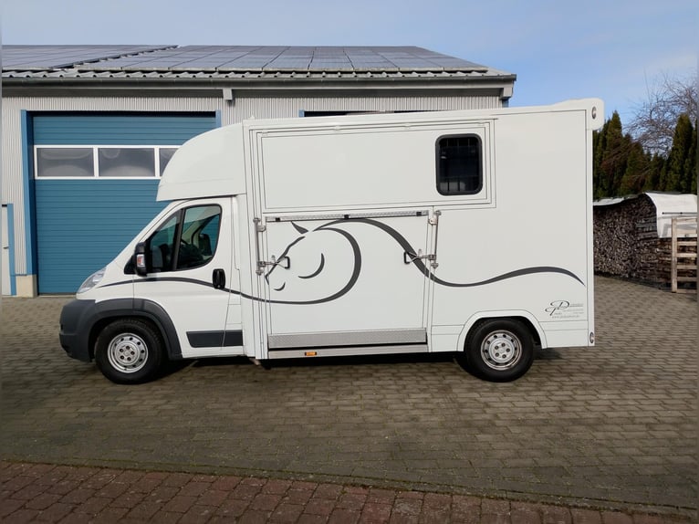 Transporteur pour chevaux à deux rampes latérales, avec seulement 20 500 km au compteur. Transporteu