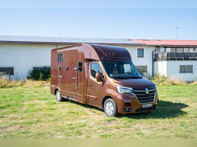 Transporteur pour chevaux, équipement pour étalon, 5 places, seulement 43 300 km, climatisation, GPS