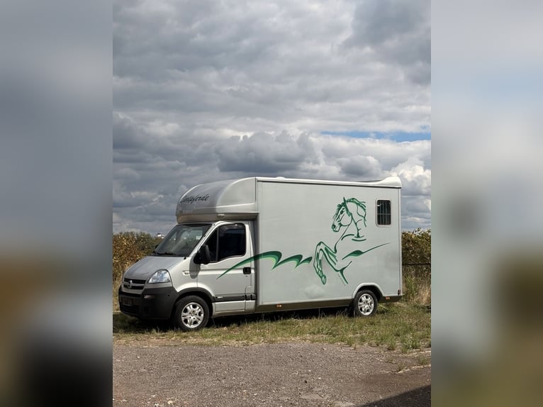 Transporteur pour chevaux / Opel Movano – Très bon état – Böckmann