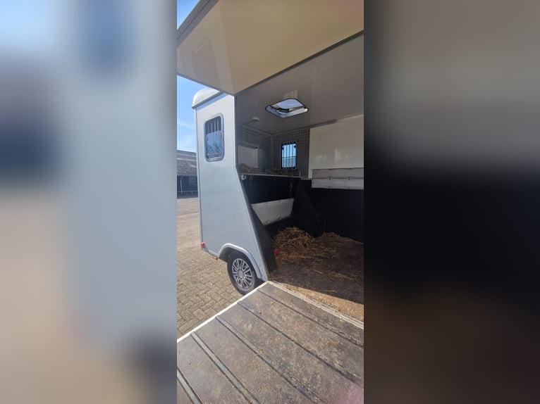 Voiture hippomobile à vendre