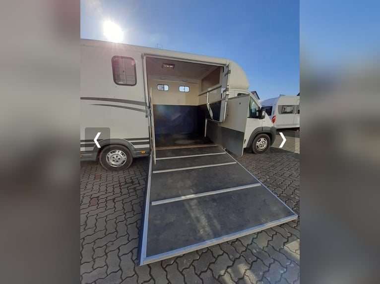 Equitrek Victory mit großem Wohn-Schlafabteil