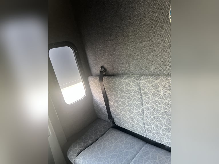 Excellent transporteur de chevaux Renault MTM