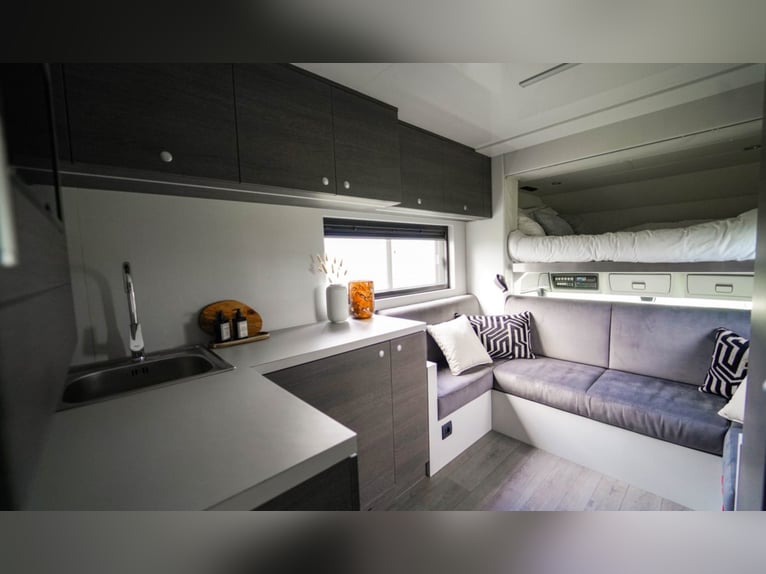 AKX D-range 4 chevaux 2021