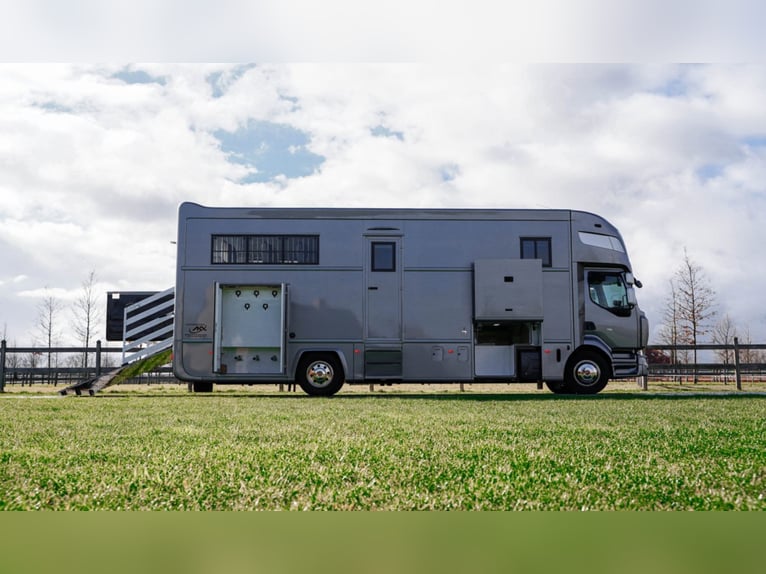 AKX D-range 4 chevaux 2021