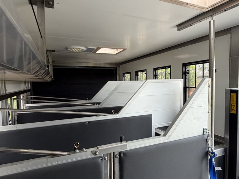 Camion de transport de chevaux Volvo avec mobil-home